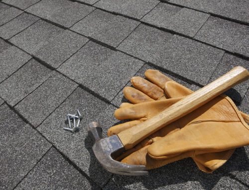 8 Things You Probably Didn’t Know About Your Roof
